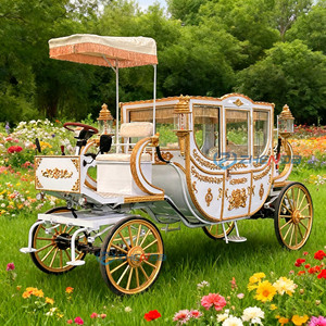 Voiture électrique de luxe royale de tourisme Cendrillon à 4 roues de haute qualité fabriquée en Chine pour transport spécial - Product Image 3