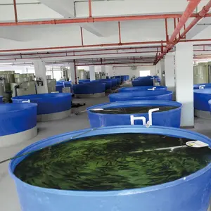 Sistema de aquacultura e pesca marítima, sistema de aquacultura e pesca no interior/interno, equipamento para agricultura de camarão