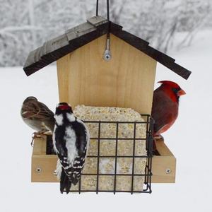 2 <span class=keywords><strong>Suet</strong></span> kafesli hazne besleyici - Product Image 4