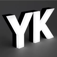 Enseigne LED 3D rétroéclairée extérieure personnalisée, lettres en acrylique et métal, panneau lumineux pour entreprise, nom de magasin, marque, réception