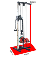 Prix usine Single Cross Machine Pin Load Selection Home Use Wall Mount Cable Crossover Rack Station Poulie Tower