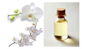 Gloryage Imdermalab Crystorchid Grado cosmético Brillo DE LA PIEL Premium con inhibición de melanina Iluminación puntual y antioxidante - Product Image 2