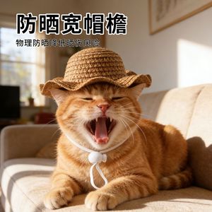 Ichimori Pet Straw <b>Hat</b> Summer Sun Protection Wavy Brim For <b>Cats</b> Dogs Leisure Style Cartoon Design - Product Image 4