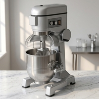 Mélangeur planétaire professionnel en acier inoxydable avec bol amovible, multi-vitesses, 20 L, pour boulangerie et cuisine