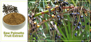 Лидер продаж, суперкритическая 85% для экстракции углекислого газа, Пальметто-масло, лечебная добавка, растительный экстракт, пила Пальметто-масло - Product Image 4