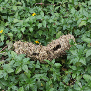 อุโมงค์งานฝีมือทำจากฟางสำหรับทำรังนกและตกแต่งสวน ขนาด M ลายไม่สม่ำเสมอ แหล่งกำเนิดฝูเจี้ยน - Product Image 1