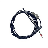 Sonde centrale RATIONAL 40.00.608P pour fours vapeur et cuisson tout-en-un