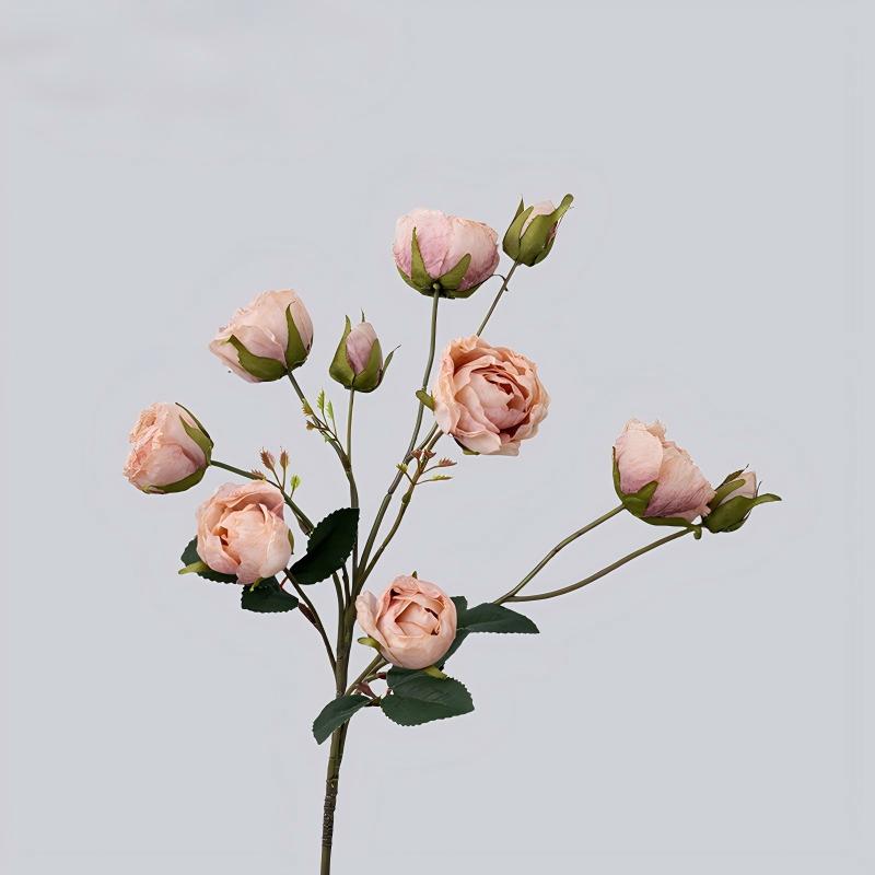 Rosa claro