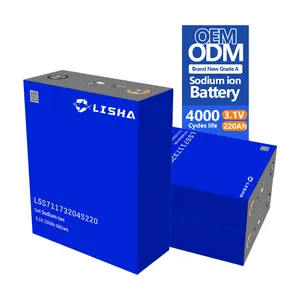 Lisha Surprise Price Good Quality 3.1V 220Ah Prismatic Cell Deep Cycle Sodium Ion Battery For RV/Yacht/Marine