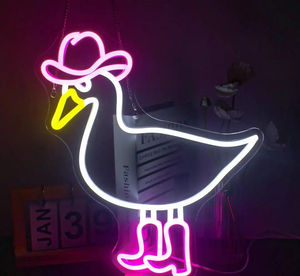 Lumières néon LED en acrylique personnalisées, directement de l'usine, alimentées par USB, multicolores, blanc chaud 3500K, IP44, télécommande, enseigne lumineuse créative - Product Image 2