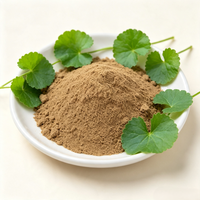 Poudre d'extrait de Gotu Kola de qualité alimentaire - Centella Asiatica standardisée avec 10 % d'Asiaticoside total, emballage en fût de 25 kg