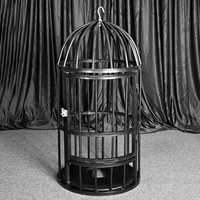 Jouets de punition sexuelle BDSM, grande cage à oiseaux suspendue en acier, mobilier de bondage sexuel pour esclaves, cage à oiseaux antique