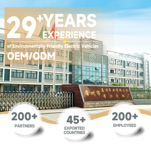 Camioneta Eléctrica de Baja Velocidad con Motor de Litio, Transmisión Manual, Potencia Total del Motor de 50kW, Autonomía NEDC de 100km, Color Claro/Oscuro - Product Image 5