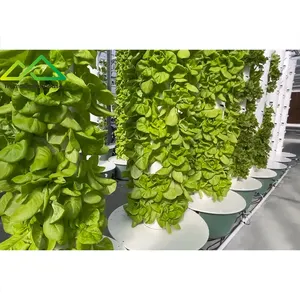 Equipo hidropónico de invernadero para interiores sistema hidropónico vertical agrícola vegetal agrícola vertical