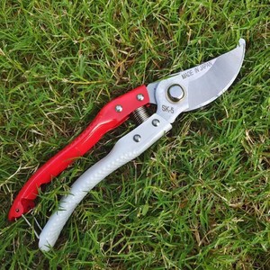 Cisailles de jardin Sakura, grandes, 168, rouge et blanc, lame en acier au carbone, fabriquées au Japon, pour la taille des arbres fruitiers, diamètre de coupe 10-20 mm - Product Image 2