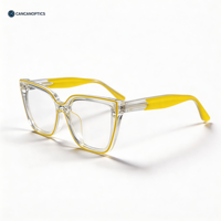 Vente en gros |   Lunettes de vue |    Lunettes optiques transparentes TR Cat Eye |   Anti-lumière bleue |   Logo personnalisé OEM |   Quantité minimale de commande faible