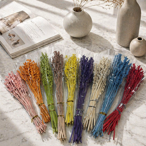 Arreglos Florales al por Mayor, Flores de Henbane Preservadas de Larga Duración, Henbane Eterno para Decoración del Hogar, Bodas y Navidad - Product Image 1
