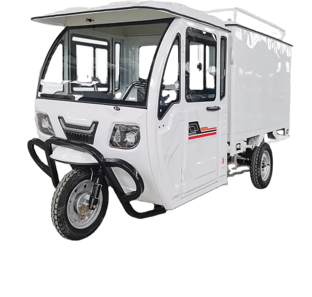 Triciclo elettrico adulto del carico del triciclo di consegna della batteria al piombo della cee Mini 3 ruote