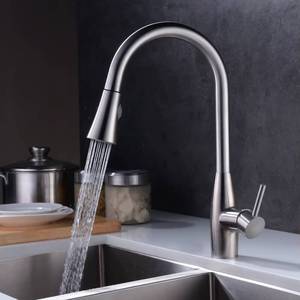 Kitchen Faucet Sus 304 Stainless Steel Pull Out Kichen Mixer Tap 40108 - Product Image 3