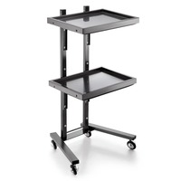 Vente en gros Plateau en acier inoxydable Chariot mobile pour salon de coiffure professionnel en or Beauté