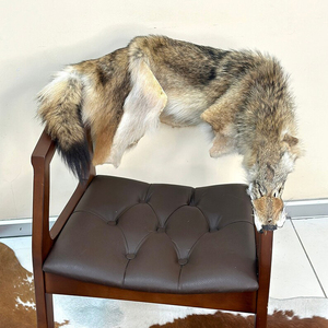 Fourrure de <span class=keywords><strong>coyote</strong></span> véritable, couleur naturelle, 100 % haute qualité, pour usage vestimentaire, peaux, fourrages, pelages - Product Image 2