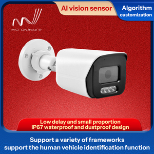 Algoritme deteksi manusia kendaraan canggih dan Sensor penglihatan keamanan AI piksel HD IP67 500W - Product Image 4