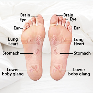 Masajeador de Pies Eléctrico con Rodillos Shiatsu, Vibración y Calor para Mejorar la Circulación Sanguínea, Salud y Bienestar - Product Image 5