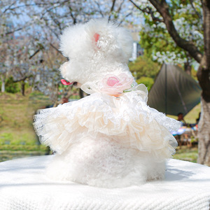 Nueva ropa de primavera y verano para perros y mascotas, lindas faldas de gasa hinchadas, vestidos de princesa de boda florales Retro para perros pequeños y gatos - Product Image 1
