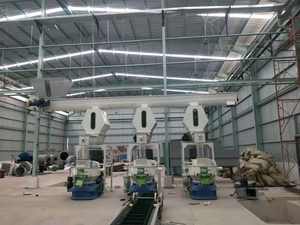 Molino <span class=keywords><strong>de</strong></span> Pellets <span class=keywords><strong>de</strong></span> Anillo <span class=keywords><strong>de</strong></span> Caléndula 2026 en Oferta con el Mejor Precio - Product Image 6