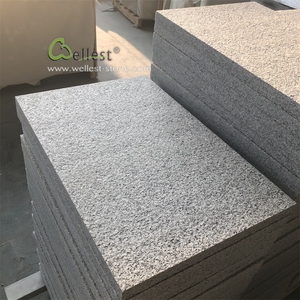<span class=keywords><strong>China</strong></span> granito pedra <span class=keywords><strong>g603</strong></span> cinza claro granito chama telha piso ao ar livre granito telha - Product Image 1