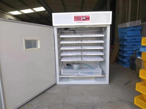 Incubadora automática de huevos de gallina, Micro ordenador, a la venta - Product Image 4