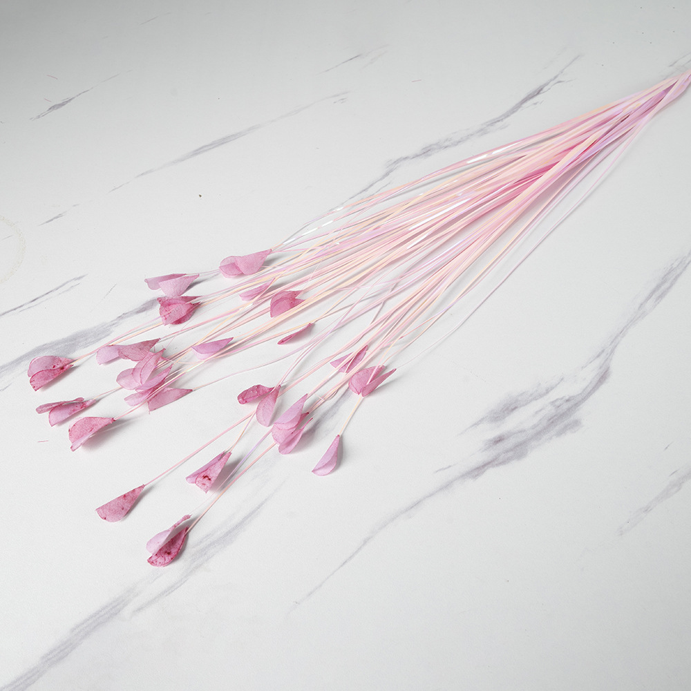 Rose coloré 40 pièces