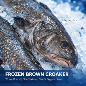 Pesce Croaker <span class=keywords><strong>Giallo</strong></span>/Marrone Congelato in <span class=keywords><strong>Mare</strong></span> Certificato HACCP, Intero, IQF 3-8kg per Pezzo, Confezione Sfusa in Sacchi Tessuti, Esportazione in Africa - Product Image 2