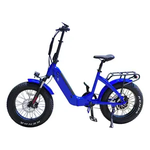 OEM China ebike supplier cheap low price electric bicycle 500w 750w bafang step thru folding e bicycle for kids