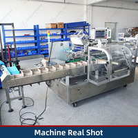Machine d'emballage automatique de boîte de bâton de café petite machine à cartonner de boîte de sachet de bâton de sucre de sel