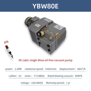 Yüksek kalite özelleştirilmiş döner kanatlı vakum pompası OEM desteği yüksek basınçlı baskı presleri küresel tedarik - Product Image 6