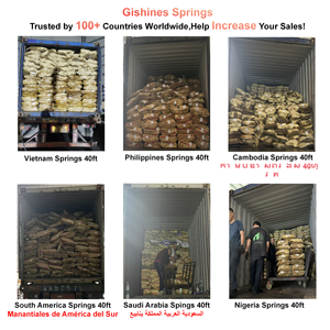 Hướng dẫn sử dụng con lăn Cửa màn trập phụ kiện mùa xuân Shade phần cứng thép Tháp xoắn cán cổng mùa xuân cho cuộn lên cổng - Product Image 2