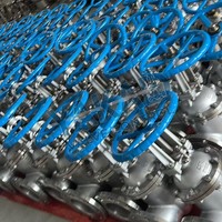 Válvula de Compuerta de Acero Inoxidable Stellite, Roscada, NACE MR0175, 550 ° C (Alta Temperatura), Flujo Bajo el Conector