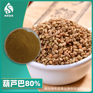 Extracto de Fenogreco 80%, Saponinas de Fenogreco 50%, Extracto Concentrado de Semillas de Fenogreco - Product Image 2