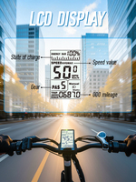 Chamrider EU Livraison Gratuite Vélo Électrique Tout-Terrain Urbain Longue Portée 250W Batterie 50AH Moteur Moyeu Arrière Frein à Disque Hydraulique