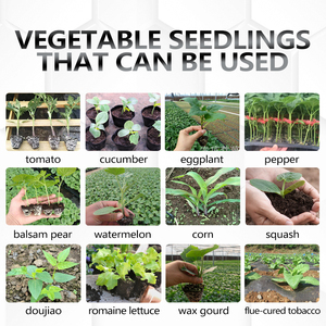 เครื่องปลูกต้นหอมแบบมือถือเครื่องปลูกต้นกะหล่ำปลีพริกไทยมะเขือยาว - Product Image 4