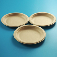 Assiette ovale ronde de vaisselle en bagasse de haute qualité biodégradable en usine de 7 à 10 pouces