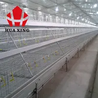 Peternakan Unggas Biaya Rendah Membangun Kandang Ayam untuk Ayam Broiler Di Ols