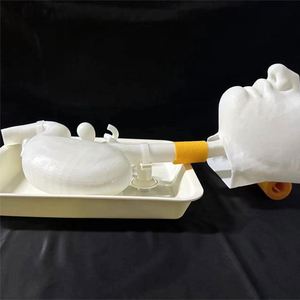 KyrenMed-Modelo de entrenamiento de Gastroscopia ERCP 3D, simulador de entrenamiento de cirugía gastroscópica con bandeja bucal y soporte - Product Image 3