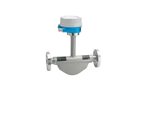 Endress + Hauser LNG mass Coriolis flowmeter