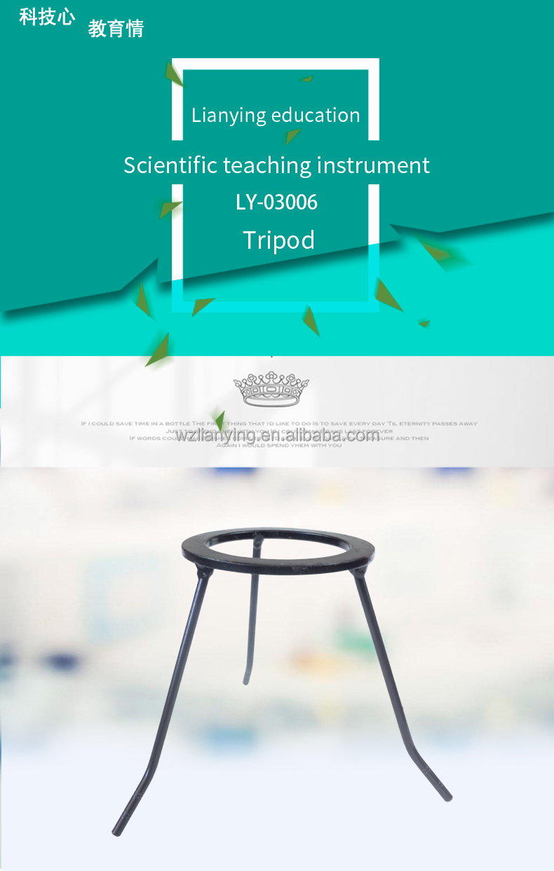 376077_3 376077_3