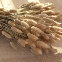 Bunga Kering Alami Warna-Warni Ekor Kelinci Rumput Pampas Diawetkan Ramah Lingkungan Tahan Lama untuk Pernikahan