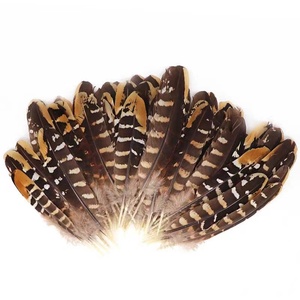 Offre Spéciale En Gros pas cher plume de faisan de Venery faisan aile piquants - Product Image 2