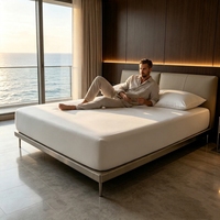 Sprei Fitted Katun Sateen 100% untuk Proyek Hotel Komersial, Sprei Hotel TC Tinggi, Grosir Sprei Fitted
