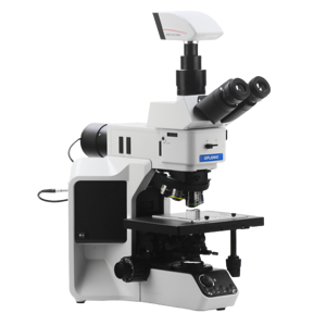 Material Biológico de Grado Industrial y de Nivel de Investigación para Laboratorio Médico y Enseñanza Científica - Product Image 5